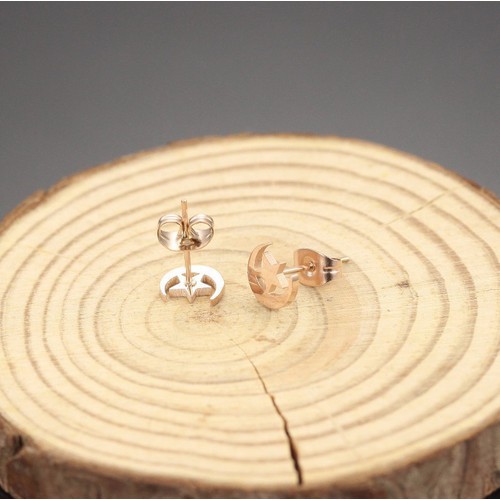 Bông Tai Trăng Sao Titan Ko Đen TT 3152