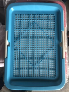 Khay vệ sinh cho chó