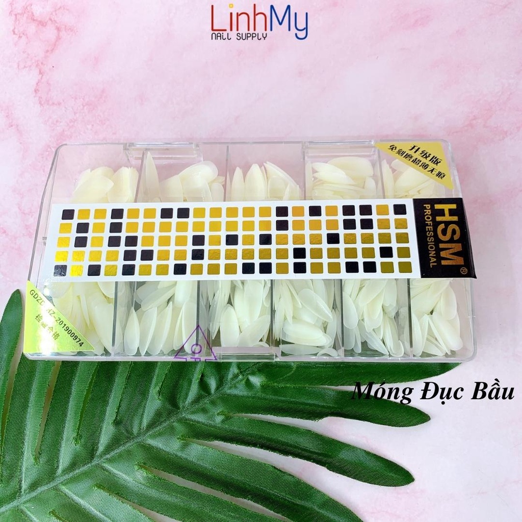 Móng Úp HSM Nhám Vuông Bầu Thang Nhọn Trong Và Đục Hộp 500 Cái