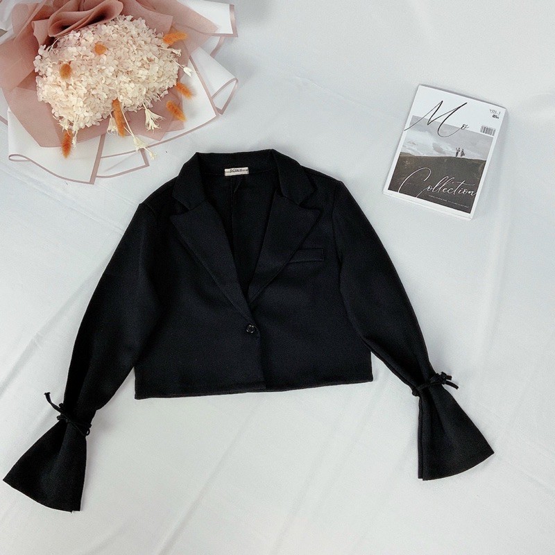 áo khoác vest tay cột nơ ( ảnh chụp dưới nền) | BigBuy360 - bigbuy360.vn