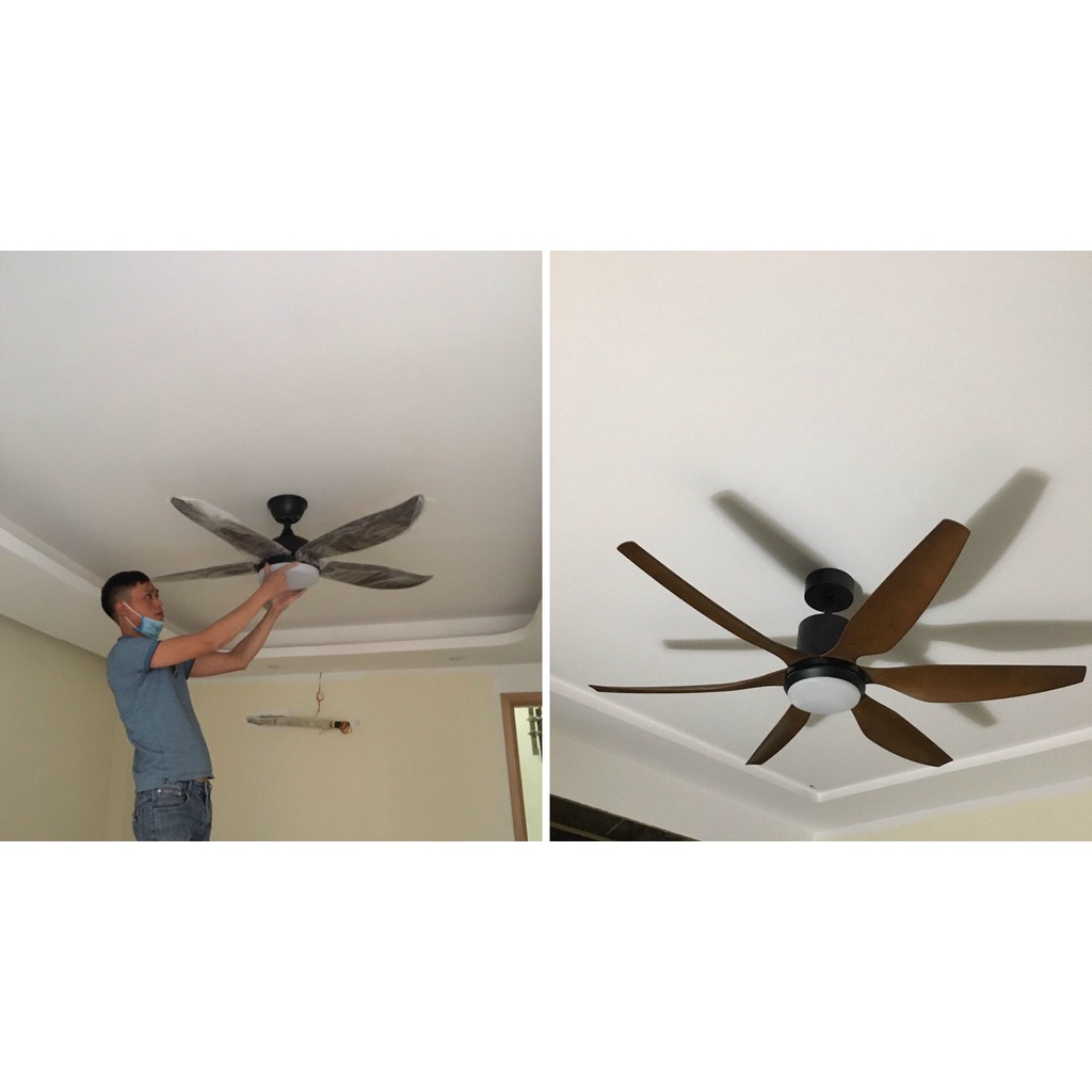 Đèn quạt MONSKY BAREACH động cơ đồng siêu mát kiêu dáng độc đáo - kèm điều khiển từ xa chuyên dụng