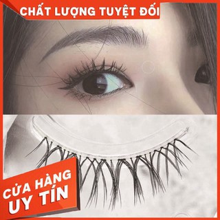 [CỰC HOT] Mi giả gân trong Nhật Bản cao cấp có keo dán sẵn (3 cặp lông mi) KD002C