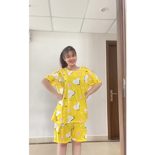 Bộ ngố lửng big size 60kg đến 90kg