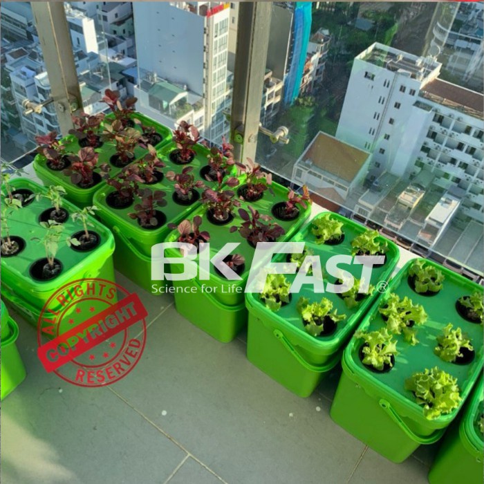 DUNG DỊCH DINH DƯỠNG THỦY CANH TĨNH BKFAST - ĐH Bách Khoa Hà Nội