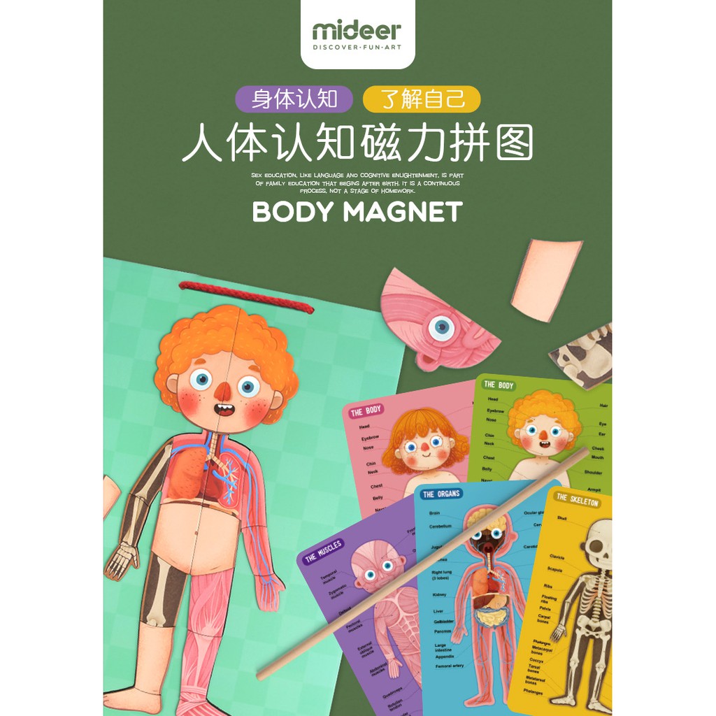Mideer 3D Magnetic Human Body Puzzle Wooden (Bộ sản phẩm 84 pcs nhận thức cơ thể của bé hàng chính hãng Mideer)