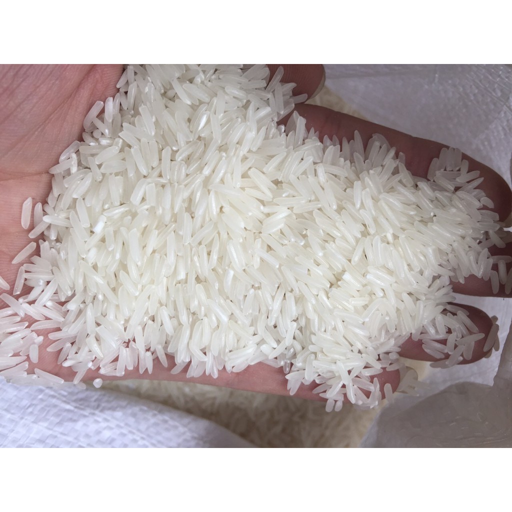 1KG GẠO THƠM THÁI ĐẶC SẢN (HOA NHÀI) - Chưa Tách Màu DẺO CƠM, THƠM VỪA, CƠM MỀM NGỌT VỊ - NÔNG SẢN QUÊ SẠCH | BigBuy360 - bigbuy360.vn