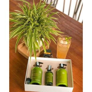 Combo Vijuly chính hãng gội xả bưởi + dưỡng tóc + kích thích mọc tóc nhanh