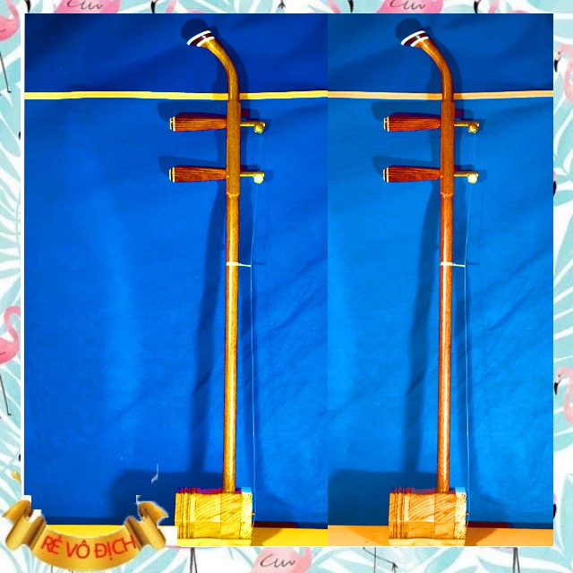 ĐÀN NHỊ VIỆT NAM