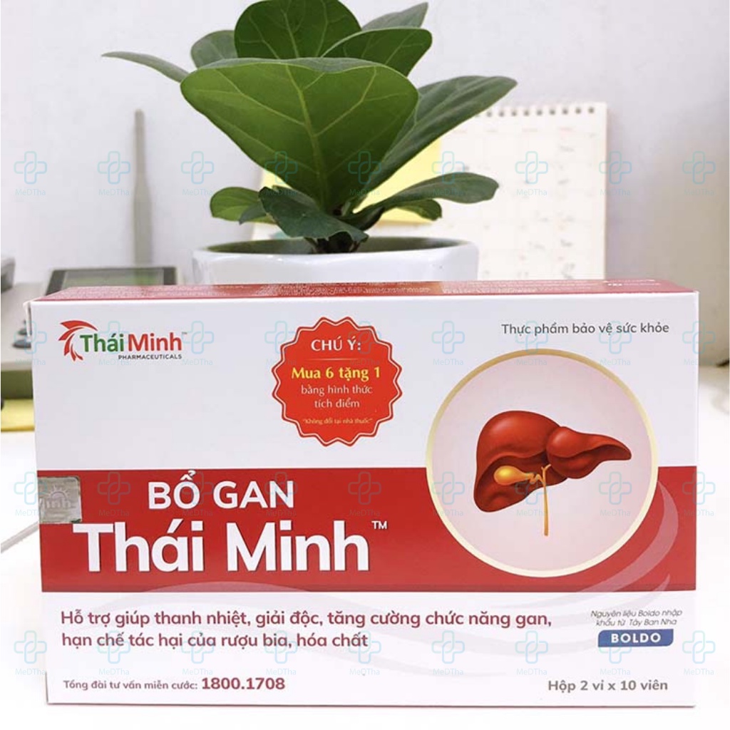 Bổ gan Thái Minh - Giải Độc Gan, Mát Gan, Bồ Công Anh, Arginine, Diệp Hạ Châu (Hộp 20 Viên) [Chính Hãng]