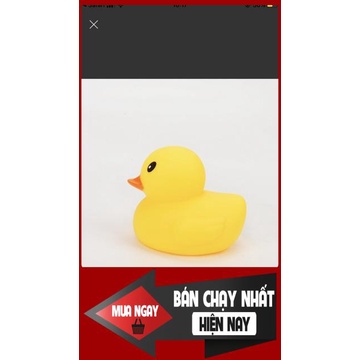 [❌GIÁ SỈ❌] ĐỒ CHƠI CHÓ MÈO -VỊT RUBBER CHÍP CHÍP 0 ❤️