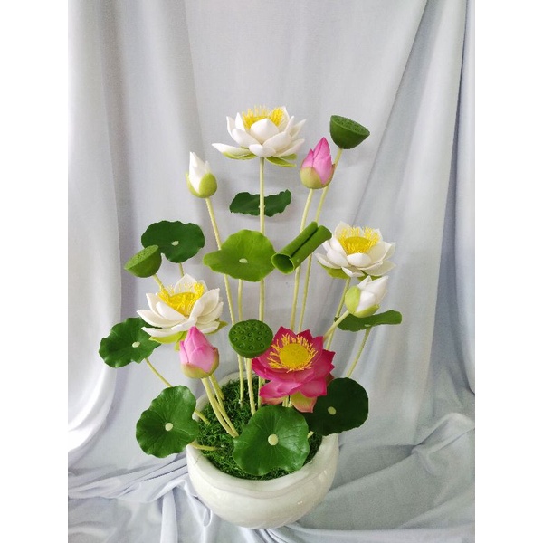 Chậu hoa sen 4 hoa, đường kính hoa 12cm, chậu cao 55cm
