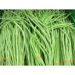 Hạt Giống Đậu Đũa 50g