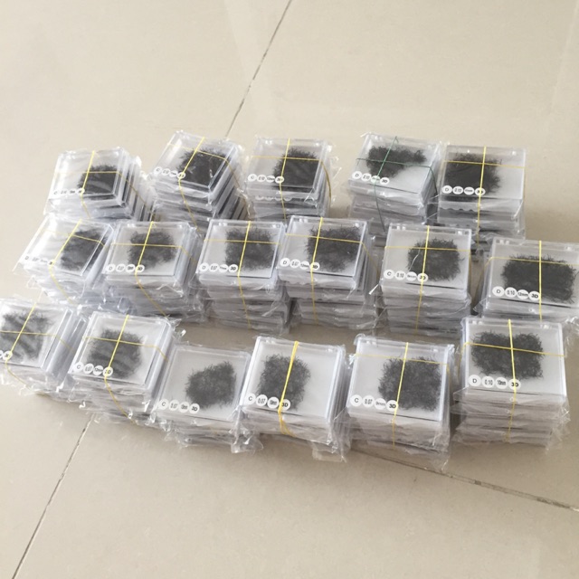 Mi fan sẵn 4D