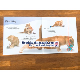Đồ chơi - See how they grow 14q
