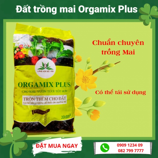 Đất trồng mai Orgamix Plus 20dm , đất trồng mai chất lượng được sản xuất từ vườn mai hơn 30 năm tuổi