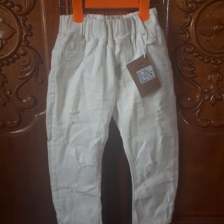 Combo quần chục