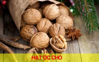 Quả óc chó Mỹ