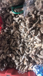 Củ tham thất khô Simacai