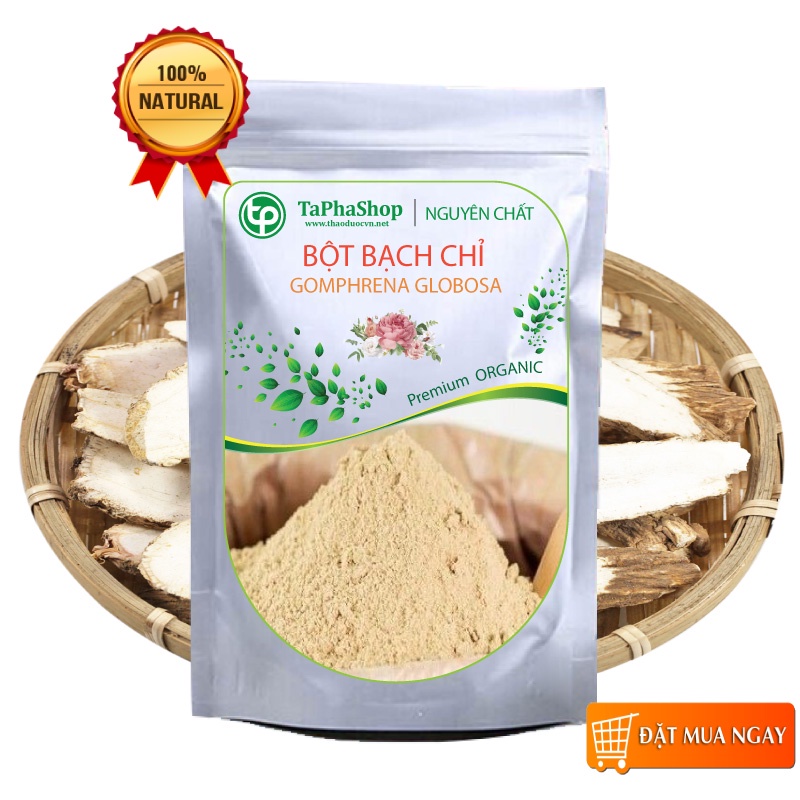 Bột bạch chỉ nguyên chất - TaPhaCo