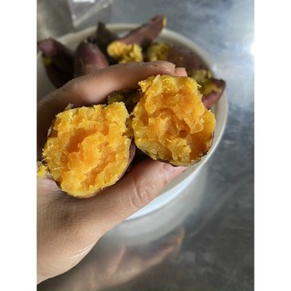 - Khoai Lang