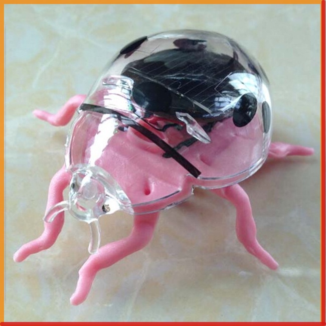 Đồ Chơi Xếp Hình Bảy Con Bọ Rùa Sử Dụng Năng Lượng Mặt Trời