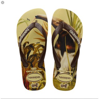Dép havaianas chính hãng