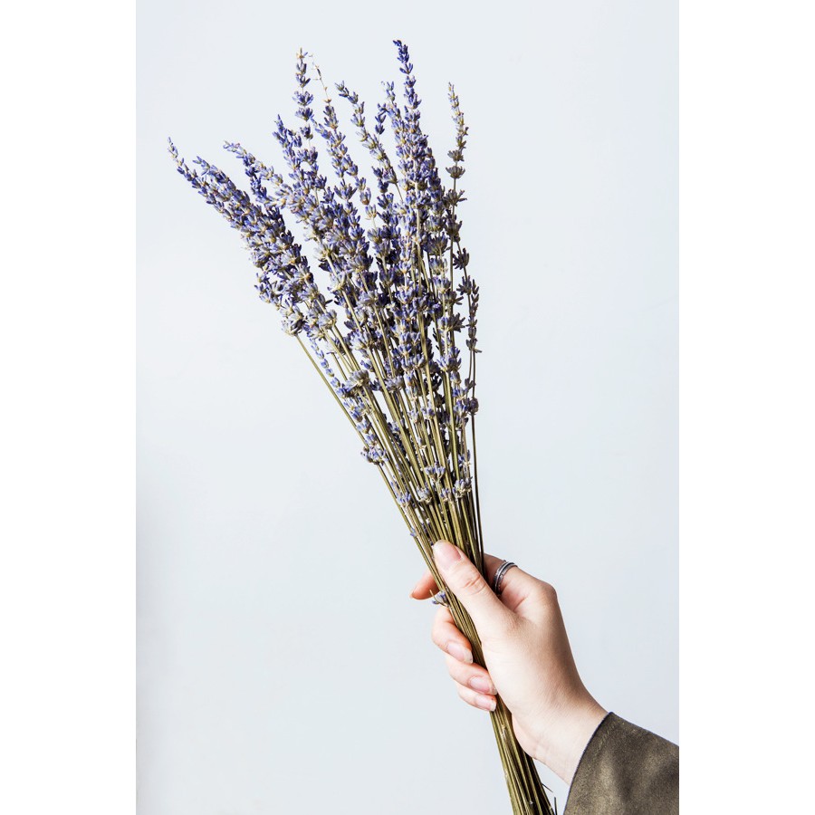Bó 30 Cành Hoa Lavender Thơm Nhẹ, Hoa Khô Oải Hương Trang Tình Lọ Hoa