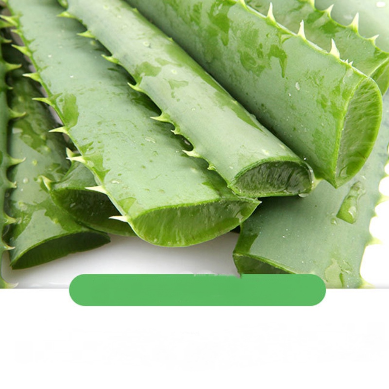 [Hàng mới về] Gel lô hội Lifusha hỗ trợ dưỡng ẩm kiềm dầu chống mụn hiệu quả