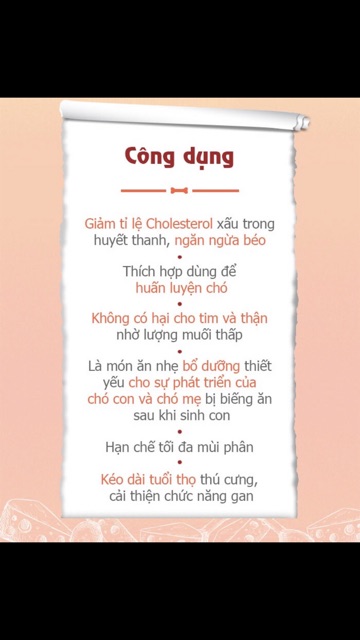 (VIÊN) Phô Mai Cuộn Bowwow cho cún