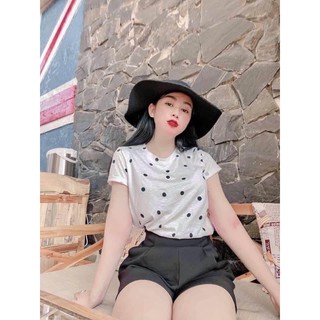 áo phông beska