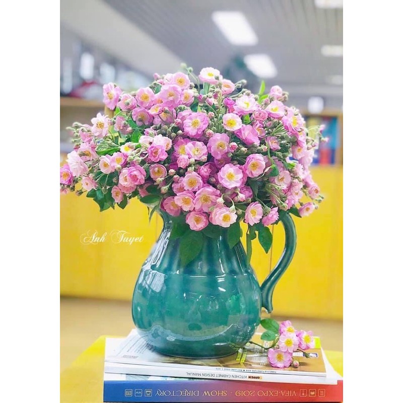 Lọ hoa dáng bình sữa phệ cao 21cm rộng 14cm