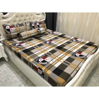 Ga Chống Thấm Cotton 1m6x2m,1m8x2m