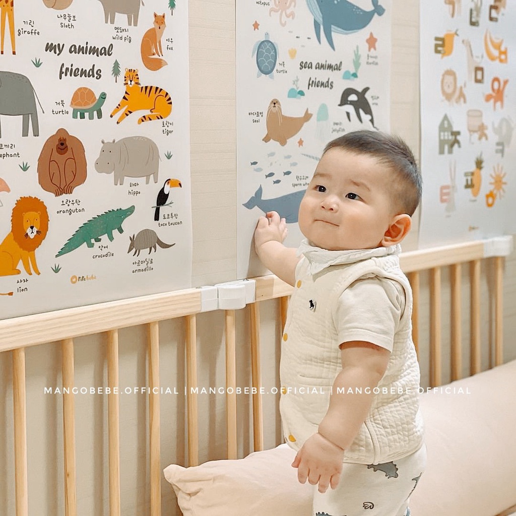 Bảng giáo dục treo tường Rirebebe Hàn Quốc