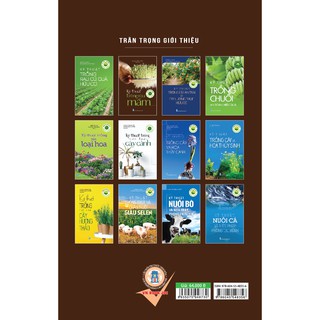 Kỹ Thuật Trồng Rau Mầm