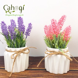 Cây giả- Chậu hoa Lavender để bàn