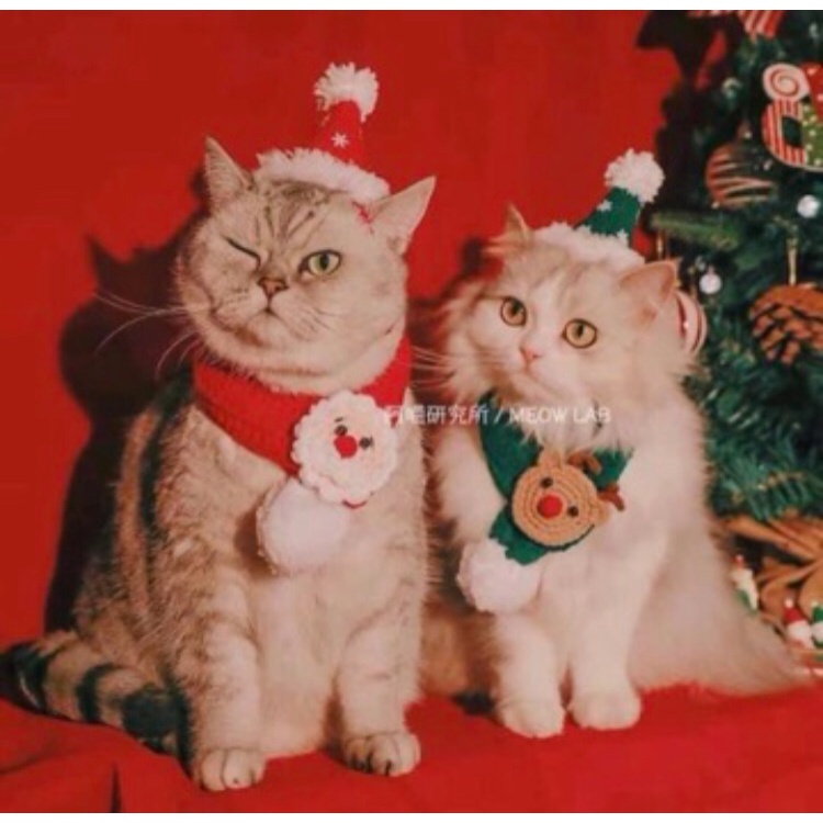 Set khăn choàng mũ noel cho thú cưng