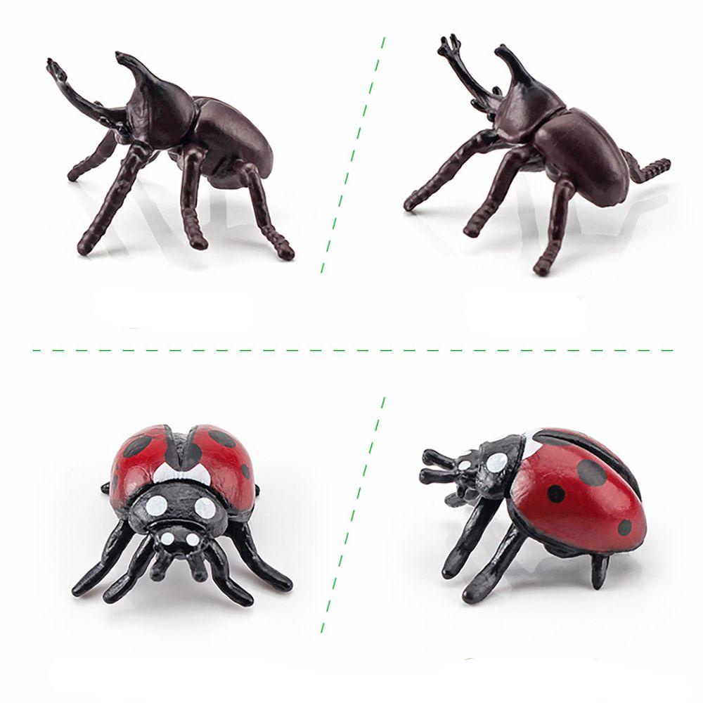 SUSANS Bộ 20 Mô Hình Côn Trùng Sống Động Như Thật