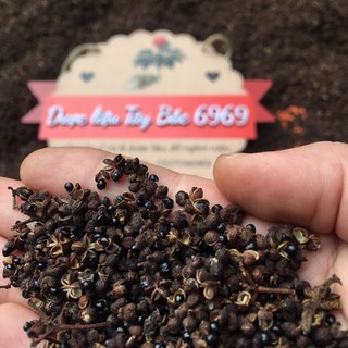 500g Mắc khén 3 cánh chuẩn rừng