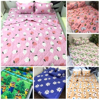 Trọn bộ chăn ga gối 5 MÓN COTTON POLY
