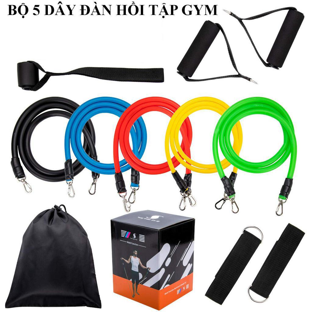 Bộ Dây Tập Gym Ngũ Sắc Tập Thể Hình Tập Gym Đa Năng Dành Cho Nam và Nữ Dây Kháng Lực -Thương Hiệu Số 1