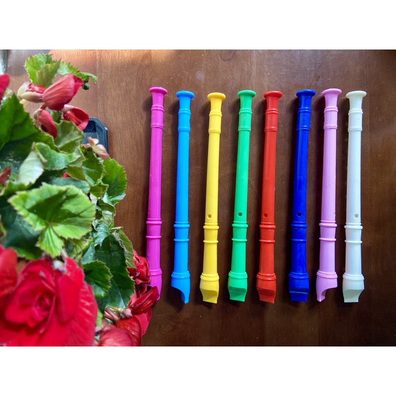 10 cây sáo Recorder