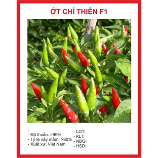 Hạt giống ớt chỉ thiên siêu cay - 1 gói 30 hạt - DC