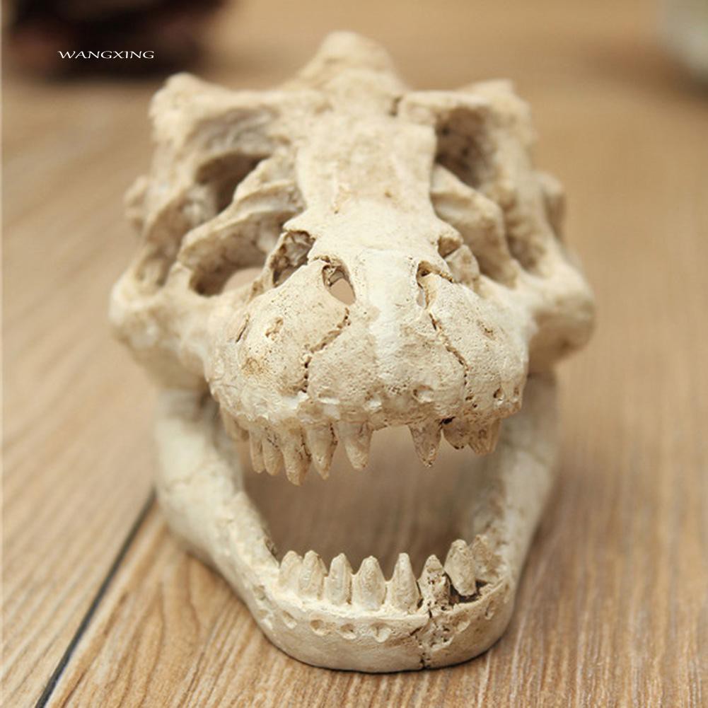 Mô hình đầu sọ khủng long bằng nhựa trang trí bể cá