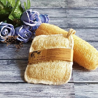 Xơ mướp rửa chén, rửa bát Ecolife tạo bọt tốt, làm sạch nhanh