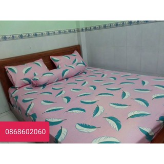 Bộ chăn ga gối cotton thắng lợi 5 món