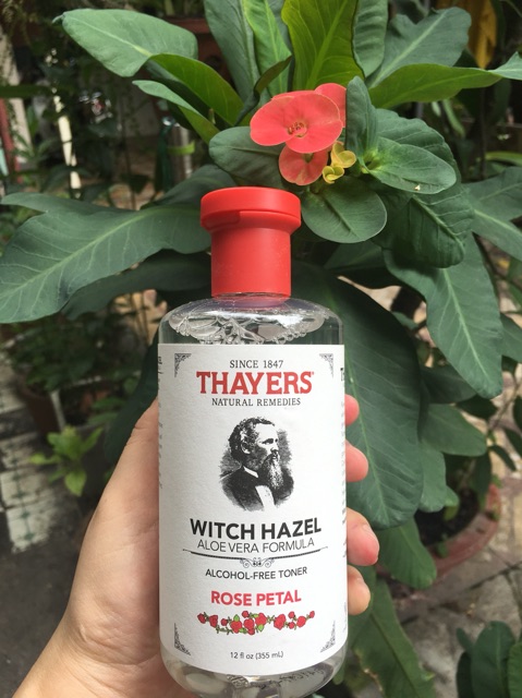 Nước Hoa Hồng Thayers