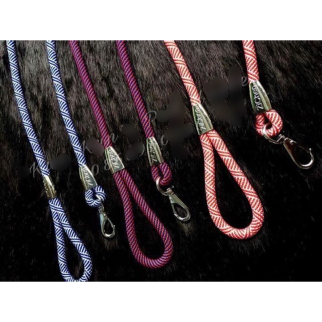 Dây dắt phản quang cho chó