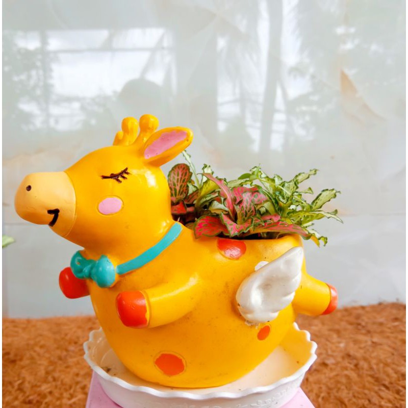 Chậu Thú Composite Đã Mix Cây