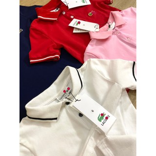 Áo polo cá sấu - RABBITSHOP