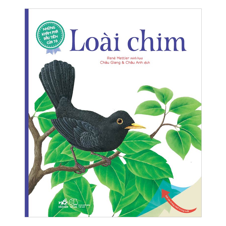 Sách - Những Khám Phá Đầu Tiên Của Tớ: Loài Chim (Nhã Nam)